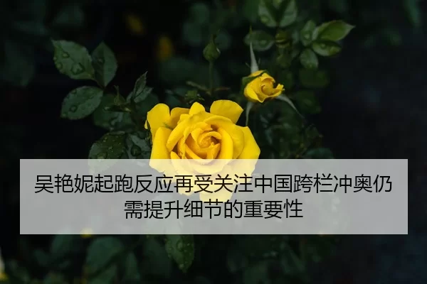吴艳妮起跑反应再受关注中国跨栏冲奥仍需提升细节的重要性